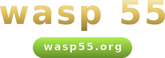 wasp 55 โลโก้